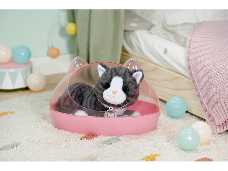Baby Born My Cat Cookie with Box