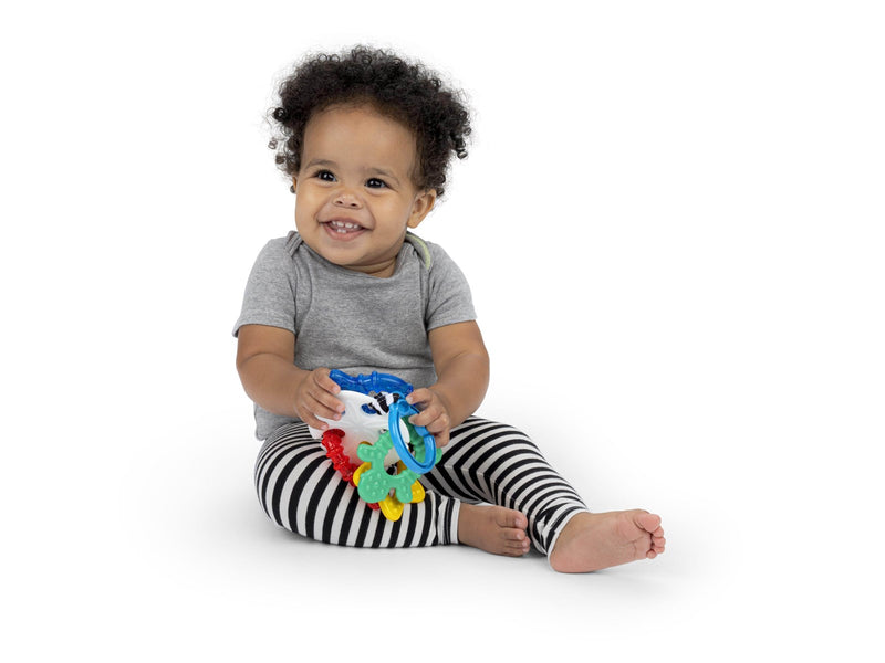 Baby Einstein Ocean Explorers Sea of Sensory Teether
