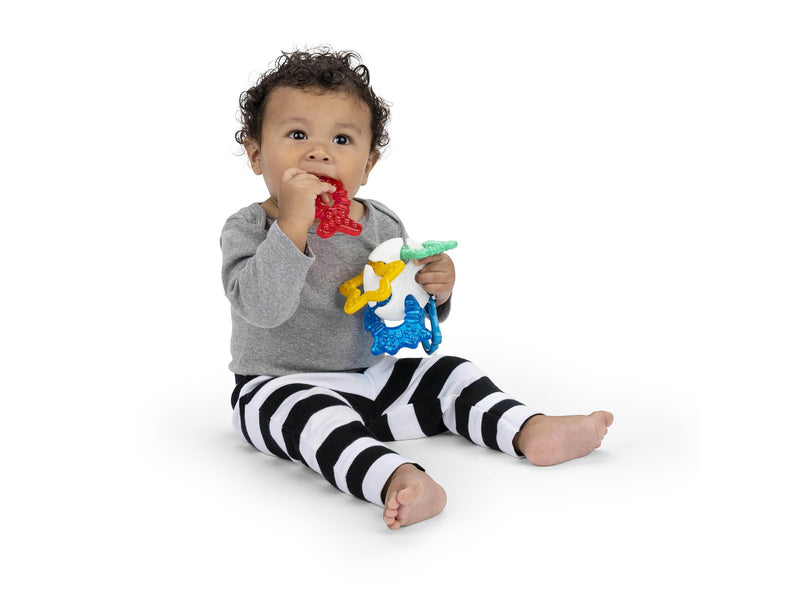 Baby Einstein Ocean Explorers Sea of Sensory Teether