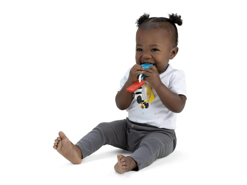 Baby Einstein Shake-a-Shape Zen Beißspielzeug