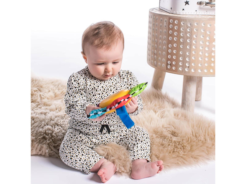 Baby Einstein - Star Bright Symphony