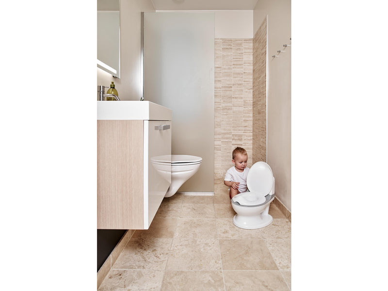 BabyDan Potty with Flush Sound