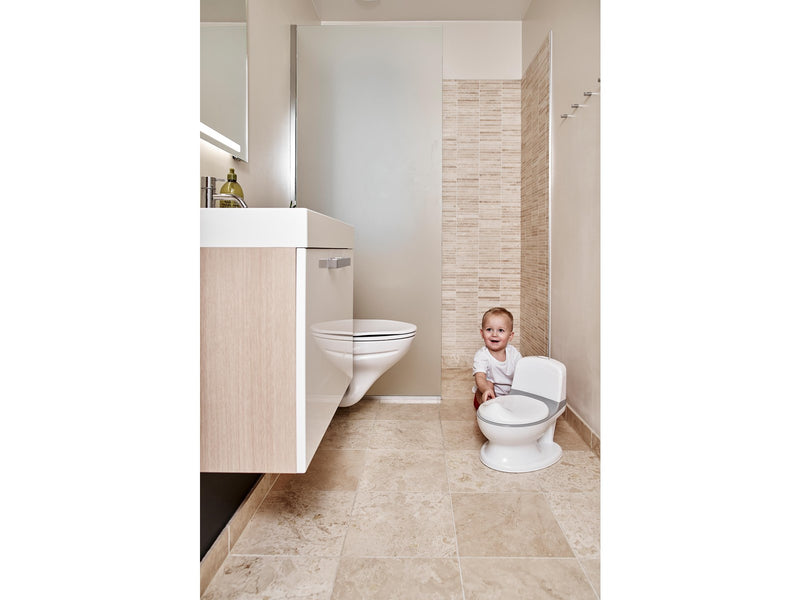 BabyDan Potty with Flush Sound