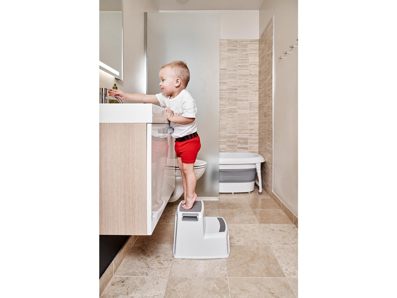 BabyDan Two Step Stool
