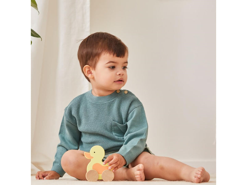 Barbo Baby Wooden Animals On Wheels - Duck
