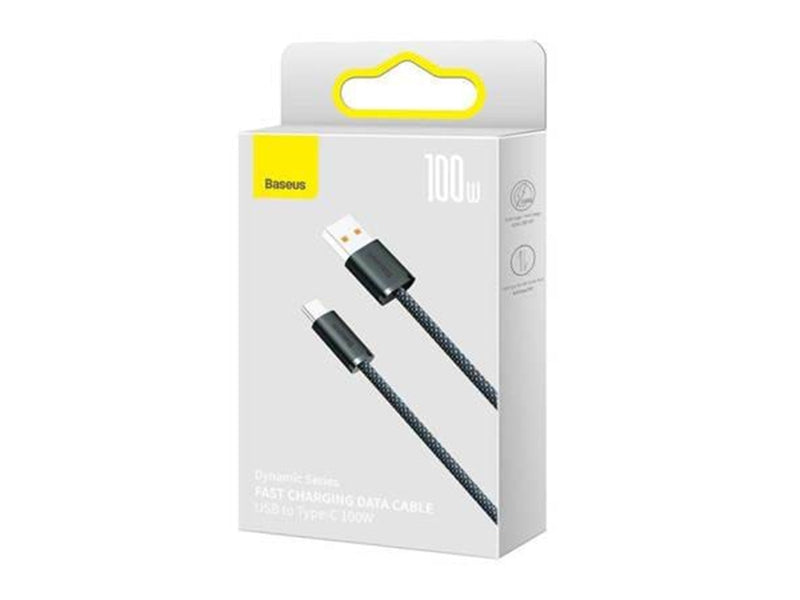 Baseus Cable USB to USB-C  Dynamic Series 100W 1m (grey)