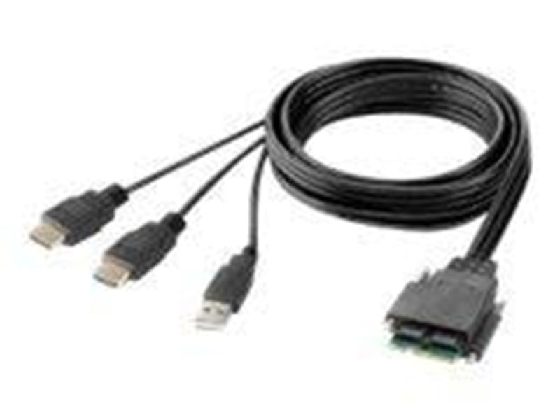 Belkin Modular Secure Dual Head