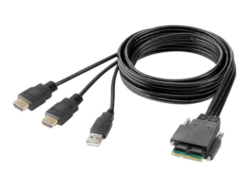 Belkin Modular Secure Dual Head