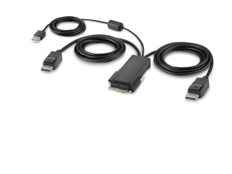 Belkin Secure Modular DP Dual Head Host Cable