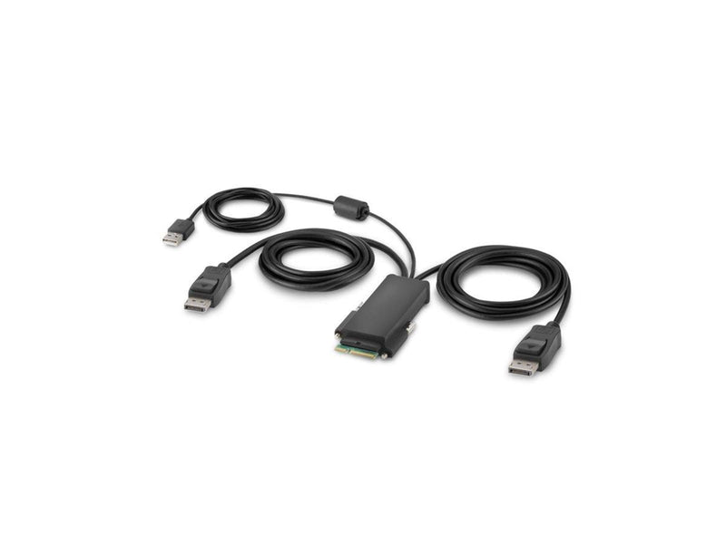 Belkin Secure Modular DP Dual Head Host Cable