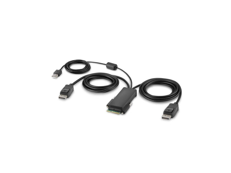 Belkin Secure Modular DP Dual Head Host Cable