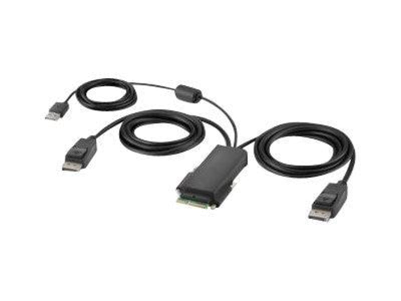Belkin Secure Modular DP Dual Head Host Cable