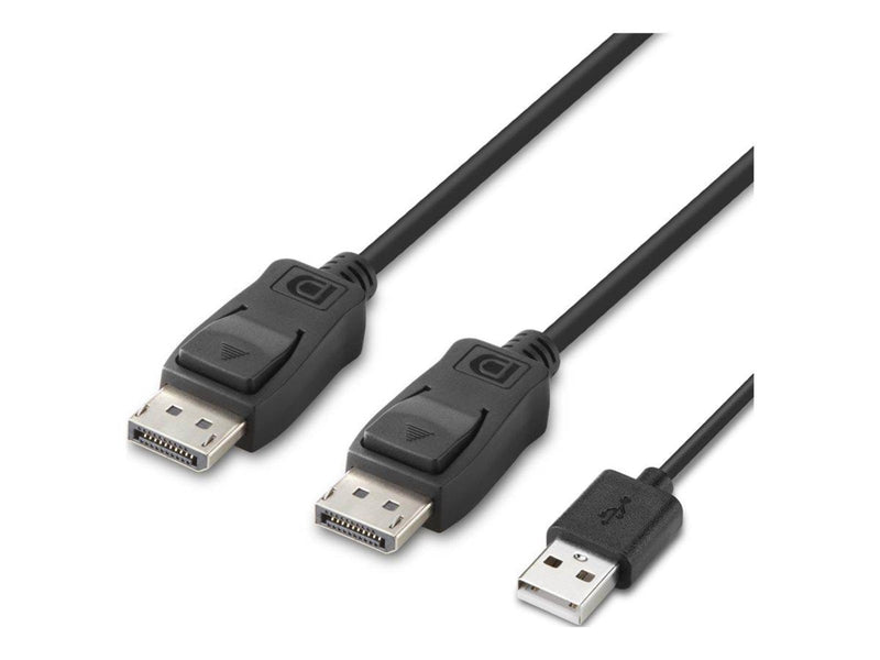 Belkin Secure Modular DP Dual Head Host Cable