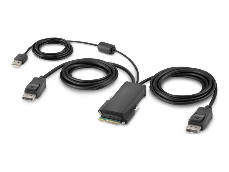 Belkin Secure Modular DP Dual Head Host Cable