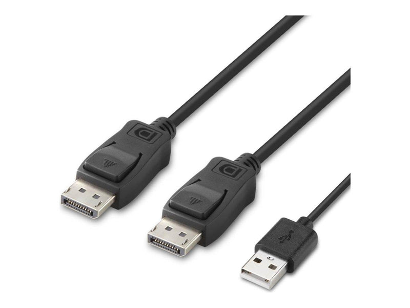 Belkin Secure Modular DP Dual Head Host Cable