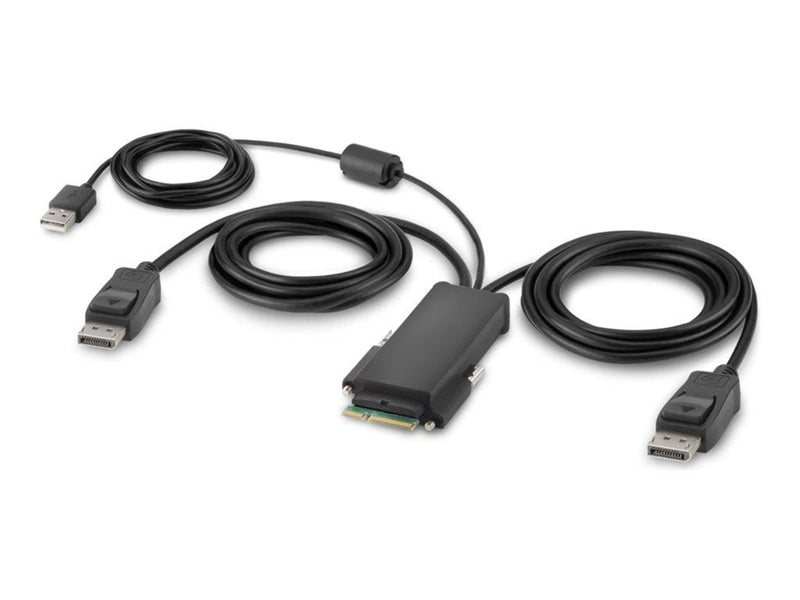 Belkin Secure Modular DP Dual Head Host Cable