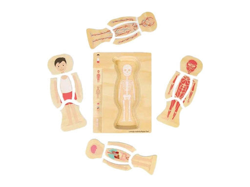 Bigjigs Wooden Anatomy Puzzle - Boy 26pcs.