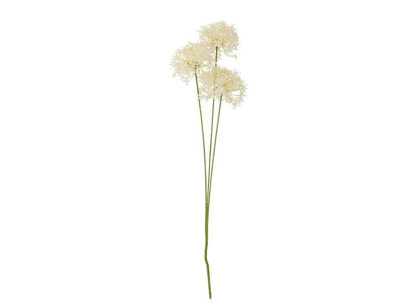 Bloomingville Allium