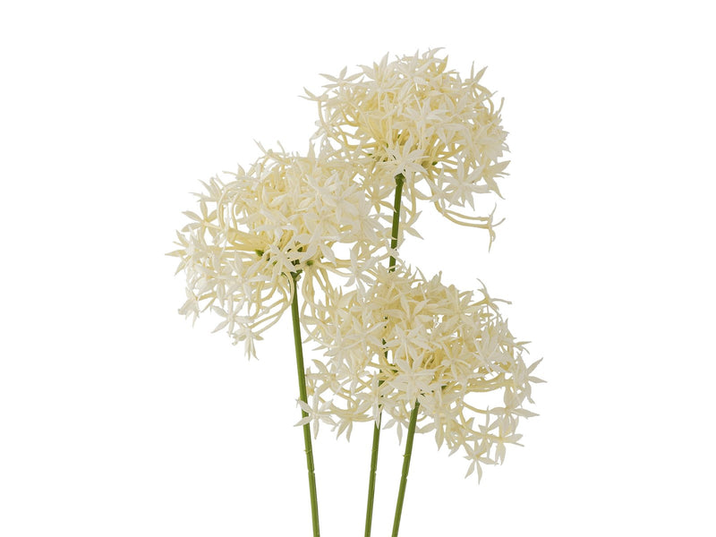 Bloomingville Allium