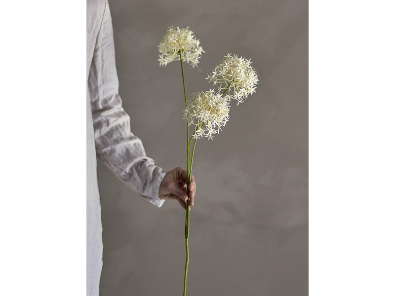 Bloomingville Allium