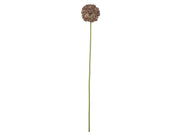 Bloomingville Allium