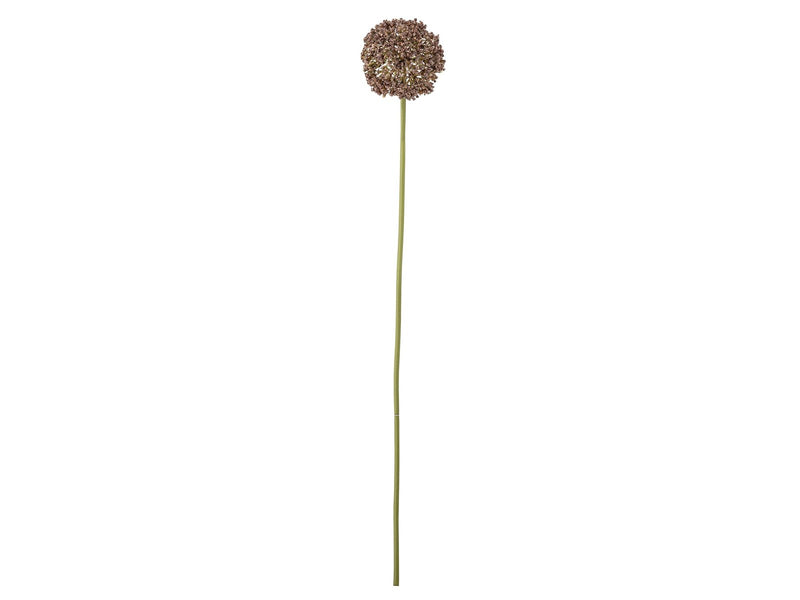 Bloomingville Allium