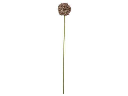 Bloomingville Allium