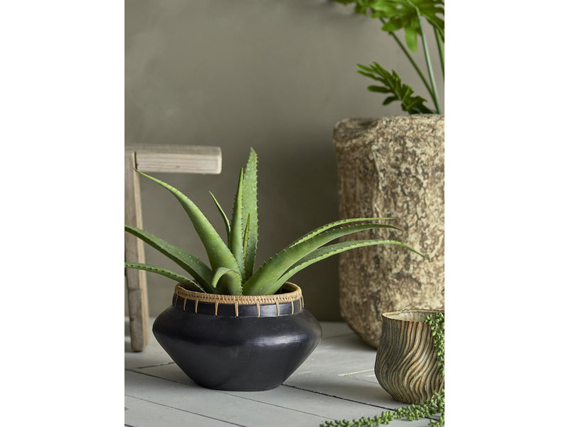 Bloomingville Aloe