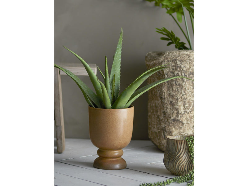 Bloomingville Aloe