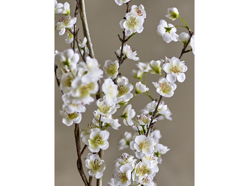 Bloomingville Apple