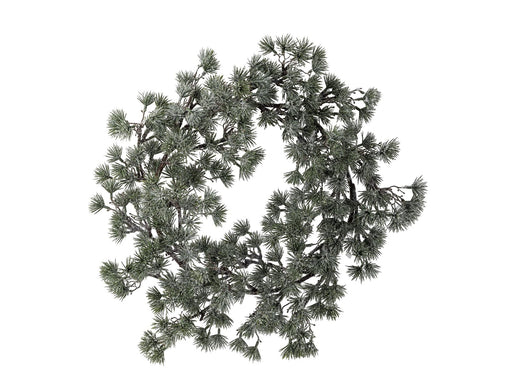 Bloomingville Cedar