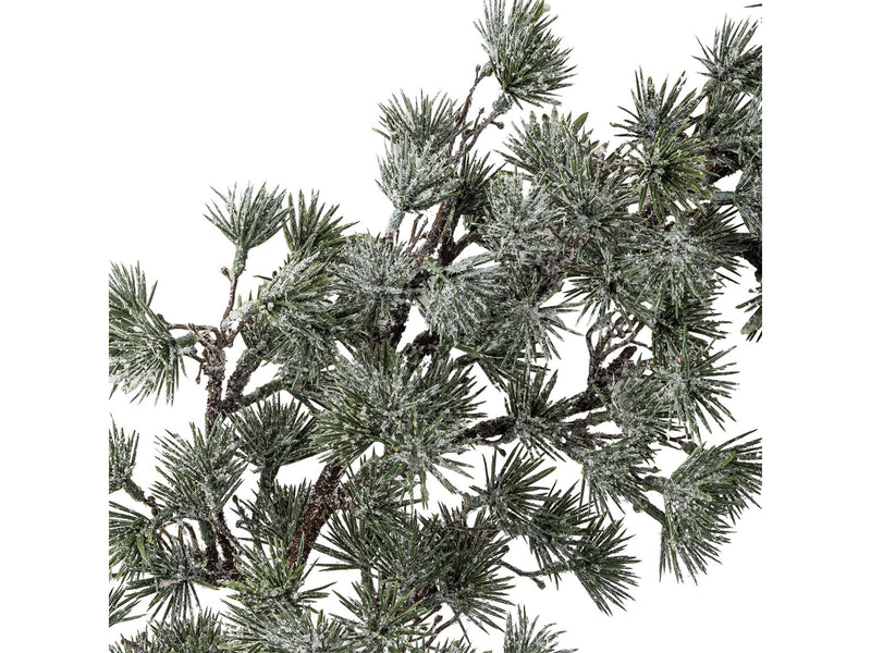 Bloomingville Cedar