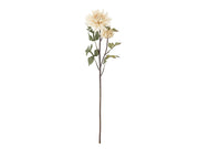 Bloomingville Chrysantemum
