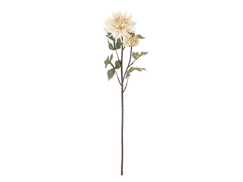 Bloomingville Chrysantemum