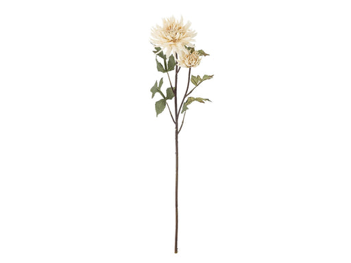Bloomingville Chrysantemum