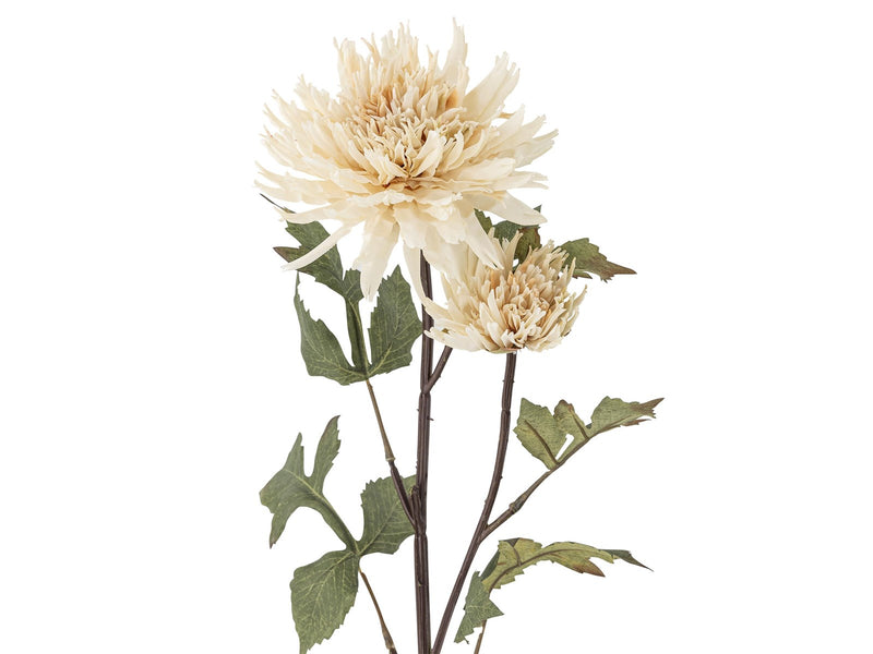 Bloomingville Chrysantemum