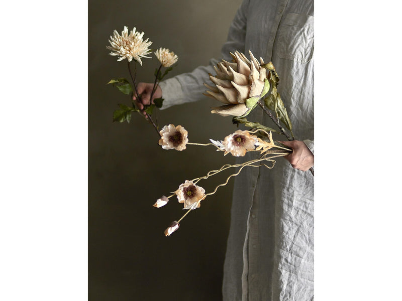 Bloomingville Chrysantemum