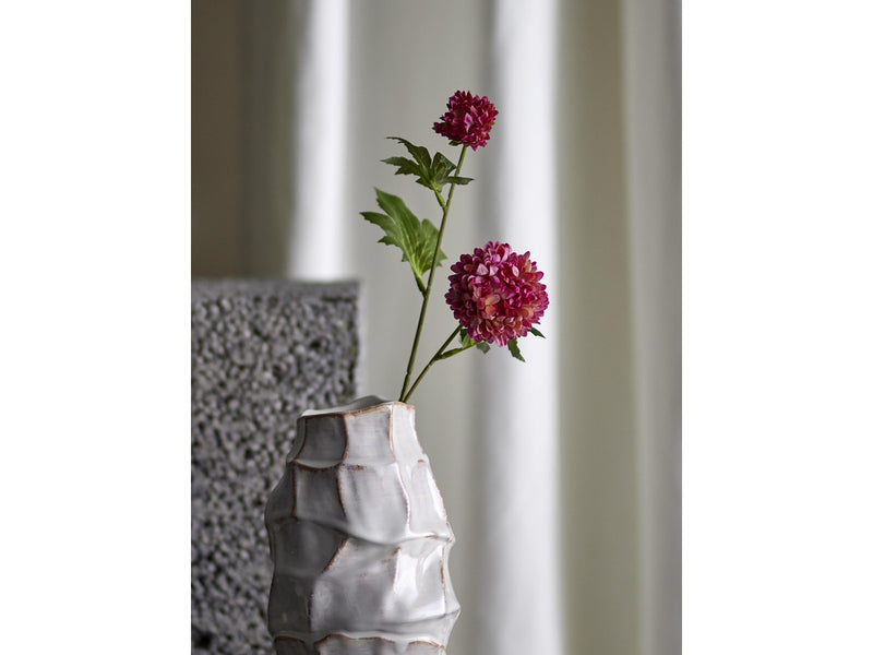 Bloomingville Chrysantemum