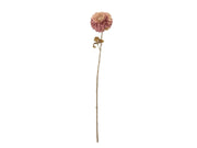 Bloomingville Chrysantemum