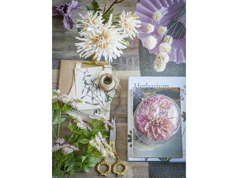 Bloomingville Chrysantemum