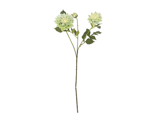 Bloomingville Chrysantemum