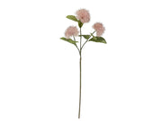 Bloomingville Chrysantemum