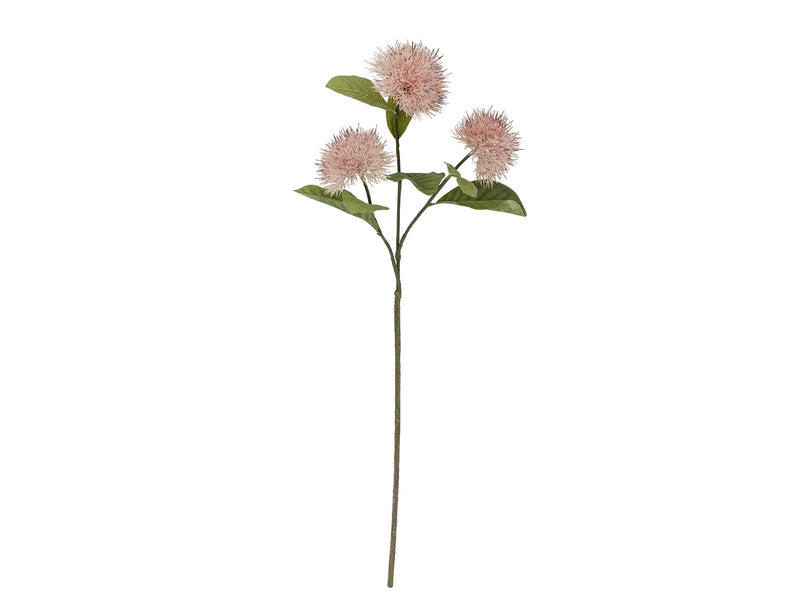 Bloomingville Chrysantemum