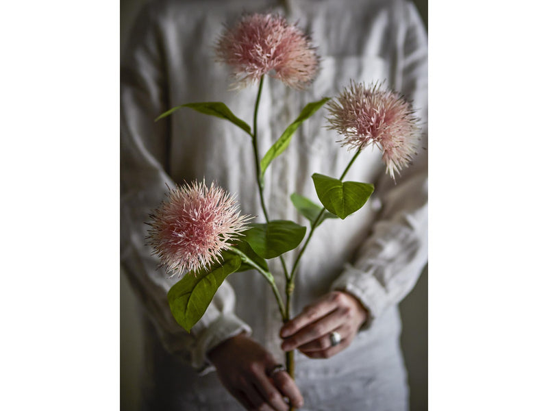 Bloomingville Chrysantemum