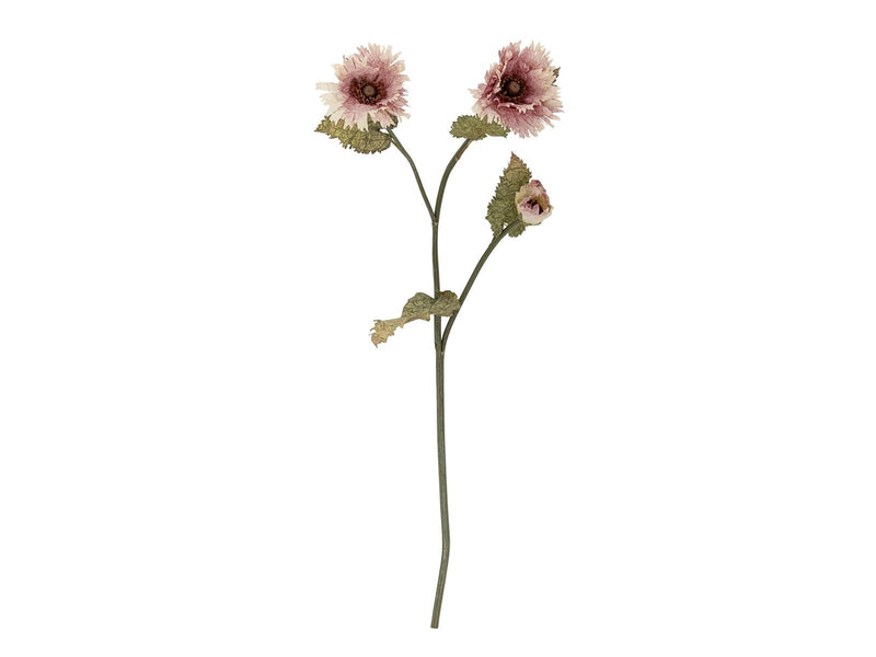 Bloomingville Chrysantemum