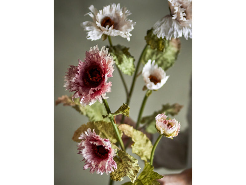 Bloomingville Chrysantemum