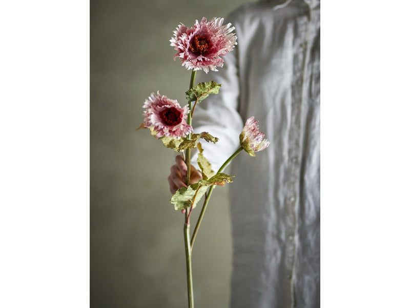 Bloomingville Chrysantemum