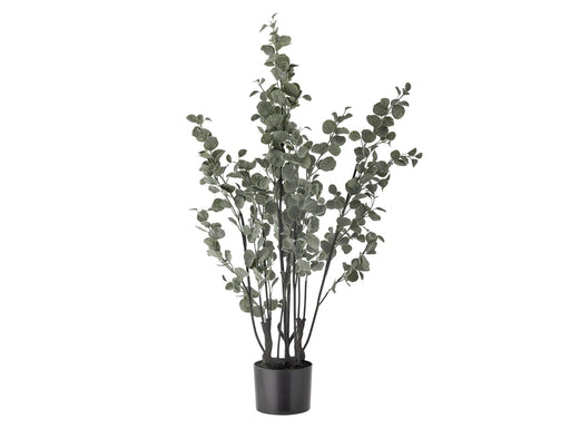 Bloomingville Eucalyptus