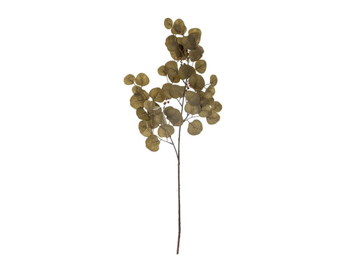 Bloomingville Eucalyptus