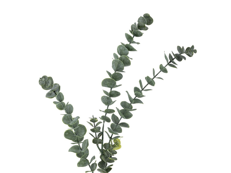 Bloomingville Eucalyptus